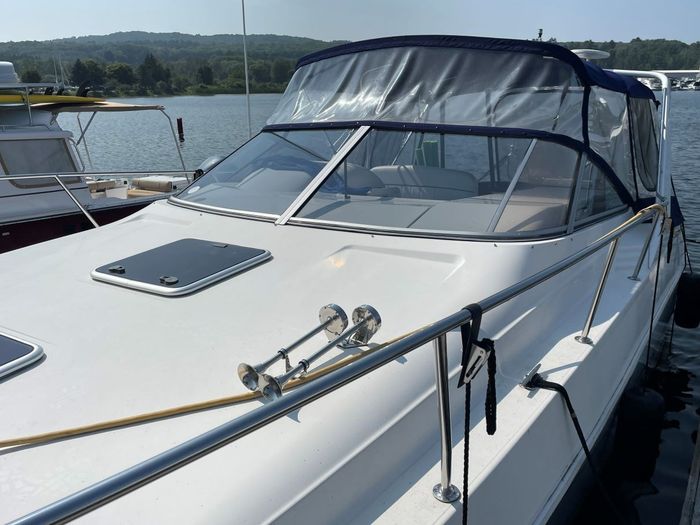 1995 Larson Cabrio 310 Photo 2 of 22