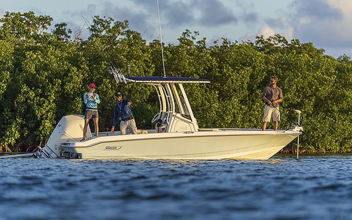 2025 Boston Whaler 220 Dauntless Photo 9 sur 9