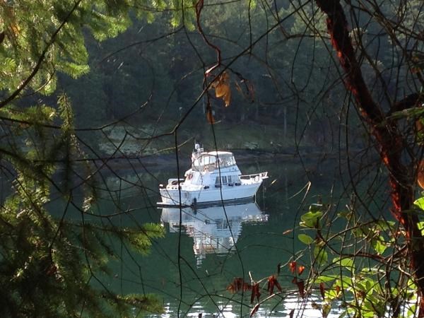 2002 Mainship 430 Aft Cabin Photo 5 sur 55