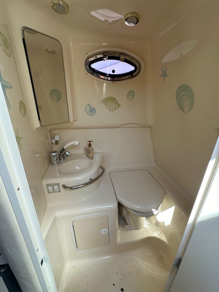 1999 Sea Ray 290 Sundancer Photo 15 of 27