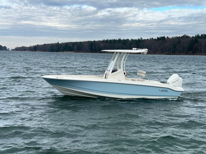 2025 Boston Whaler 220 Dauntless Photo 2 of 19