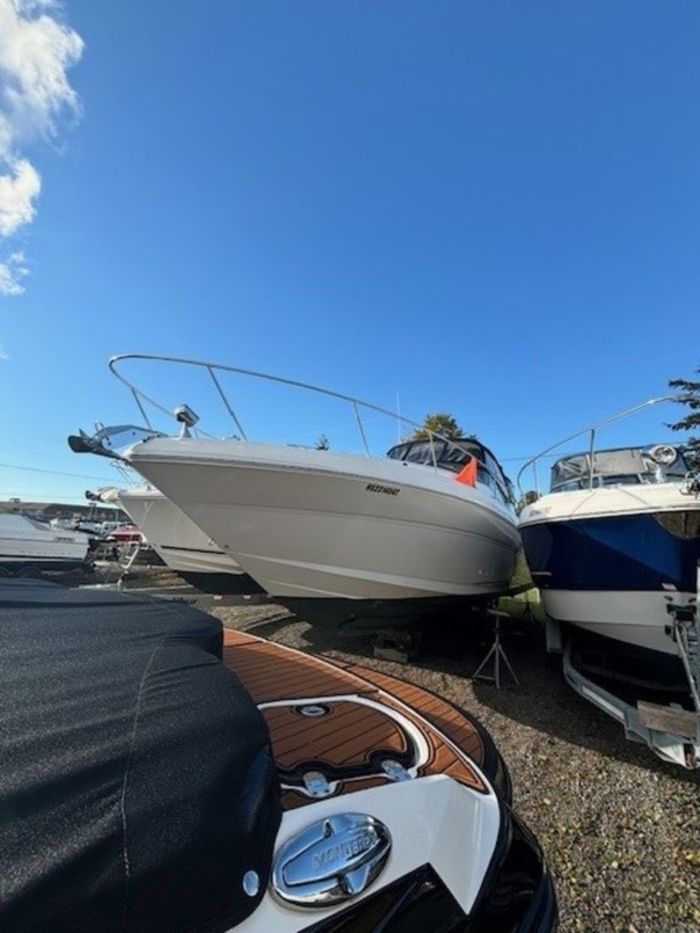 2003 Sea Ray 340 Sundancer Photo 2 sur 22