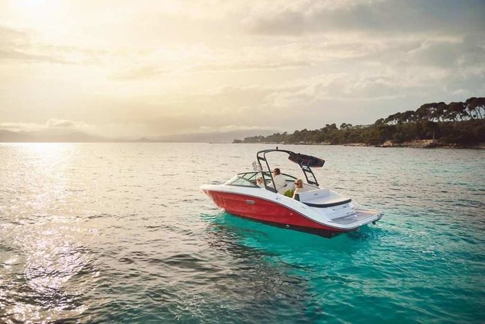 2025 Sea Ray SPX 210 Photo 1 sur 1