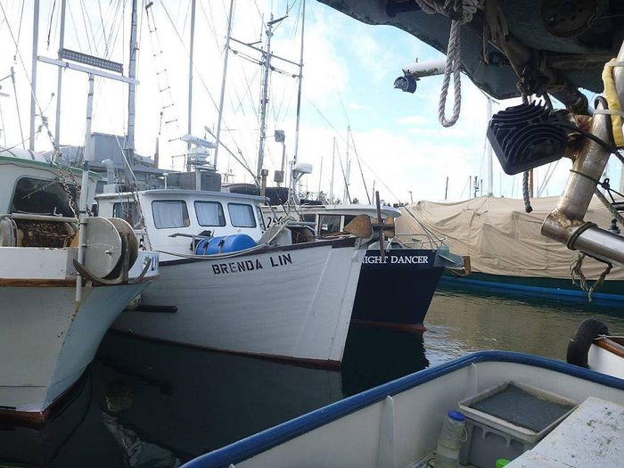 1964 Fred McLeod Prawn Boat Photo 2 of 38