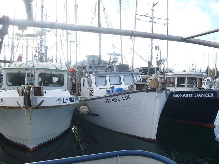 1964 Fred McLeod Prawn Boat Photo 3 of 38