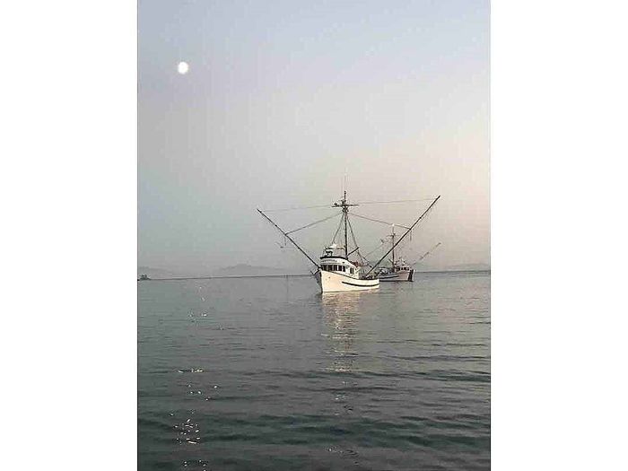 1967 Thames Boatworks Salmon Troller / Tuna / Longliner Photo 4 of 75