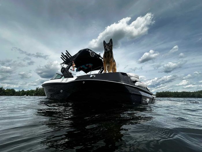 2022 MasterCraft XT23 Photo 15 of 23