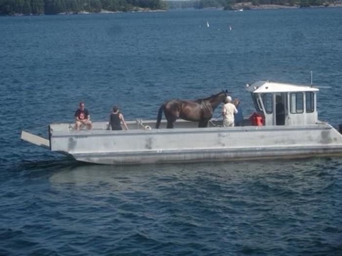 2010 30' x 11' Kanter Transporter Aluminum Landing Craft Photo 4 sur 35