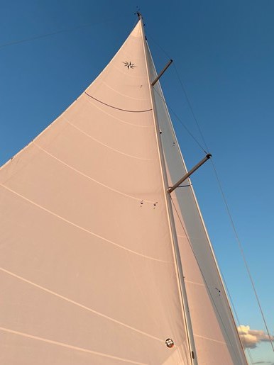 2018 Jeanneau 419 Photo 6 sur 41