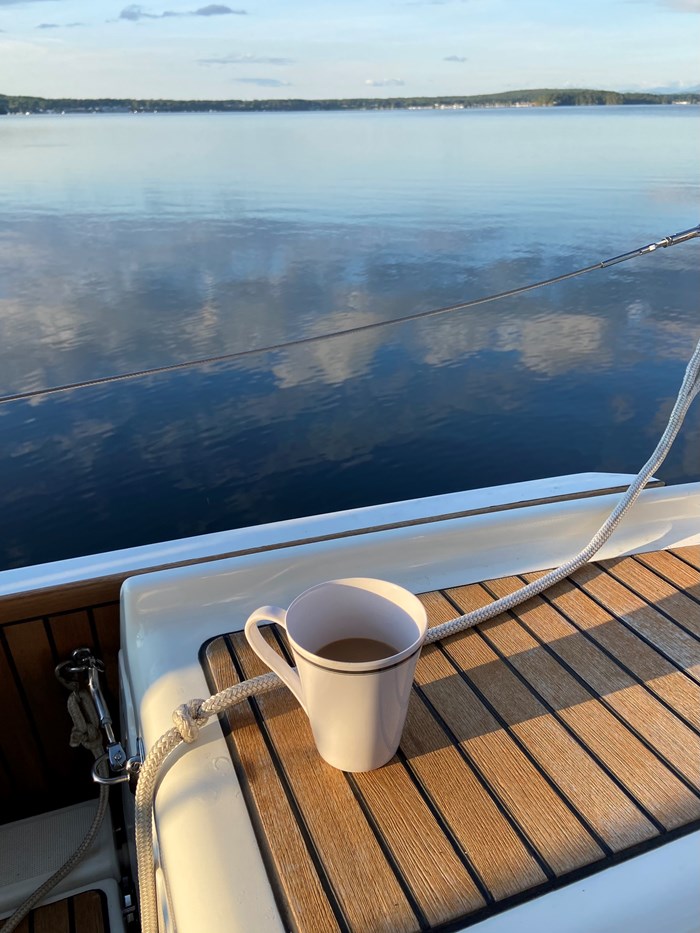 2018 Jeanneau 419 Photo 17 sur 41