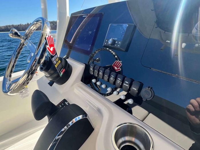 2025 Boston Whaler 250 Dauntless Photo 4 of 16