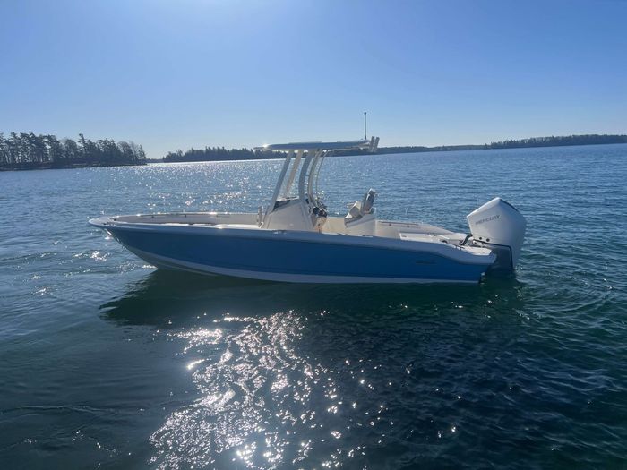 2025 Boston Whaler 250 Dauntless Photo 1 of 16