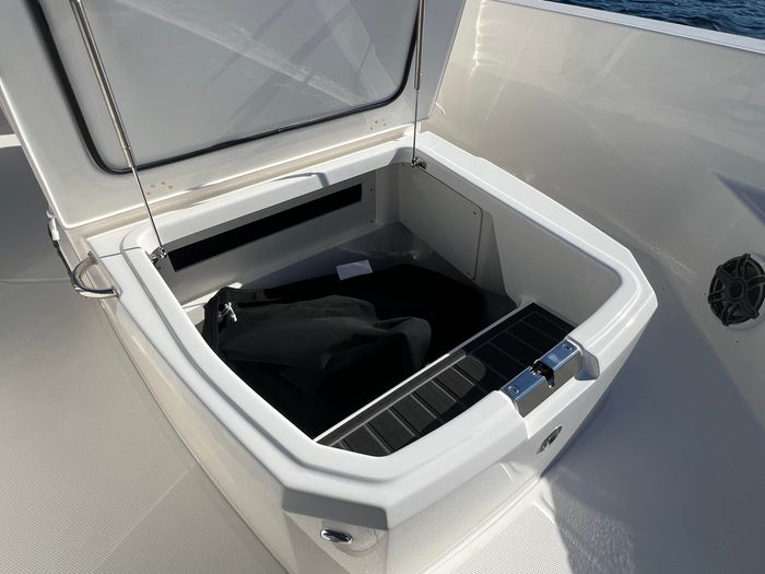 2025 Boston Whaler 250 Dauntless Photo 13 of 16
