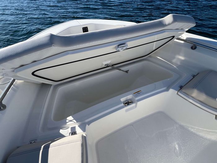 2025 Boston Whaler 250 Dauntless Photo 10 of 16