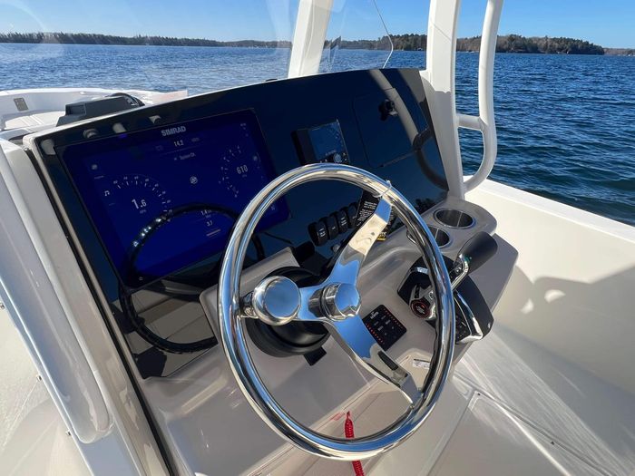 2025 Boston Whaler 250 Dauntless Photo 5 of 16