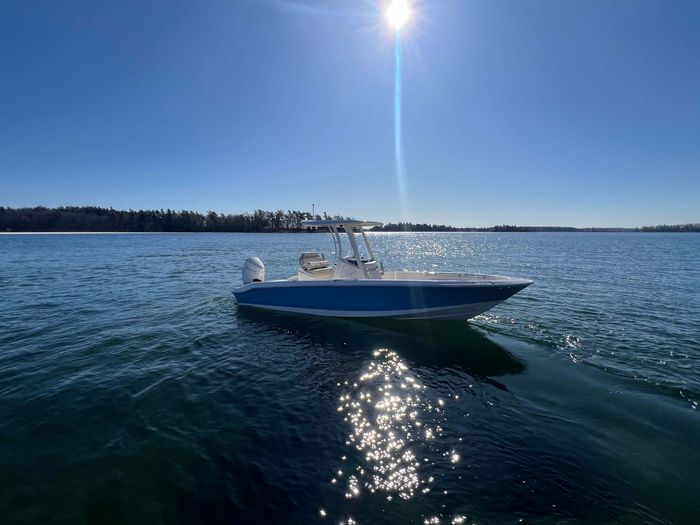 2025 Boston Whaler 250 Dauntless Photo 2 of 16