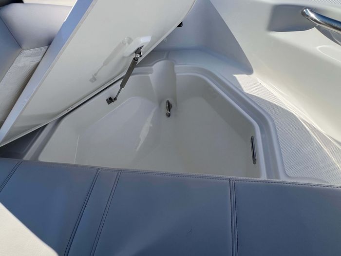 2025 Boston Whaler 250 Dauntless Photo 11 of 16