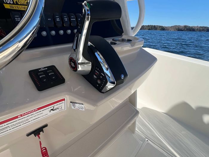 2025 Boston Whaler 250 Dauntless Photo 6 of 16
