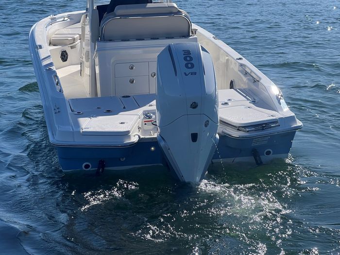 2025 Boston Whaler 250 Dauntless Photo 3 of 16