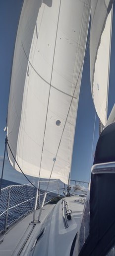2004 Beneteau Oceanis 331 Photo 8 sur 70