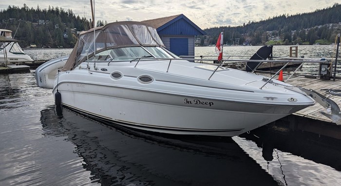 2002 Sea Ray 260 Sundancer Photo 1 sur 24
