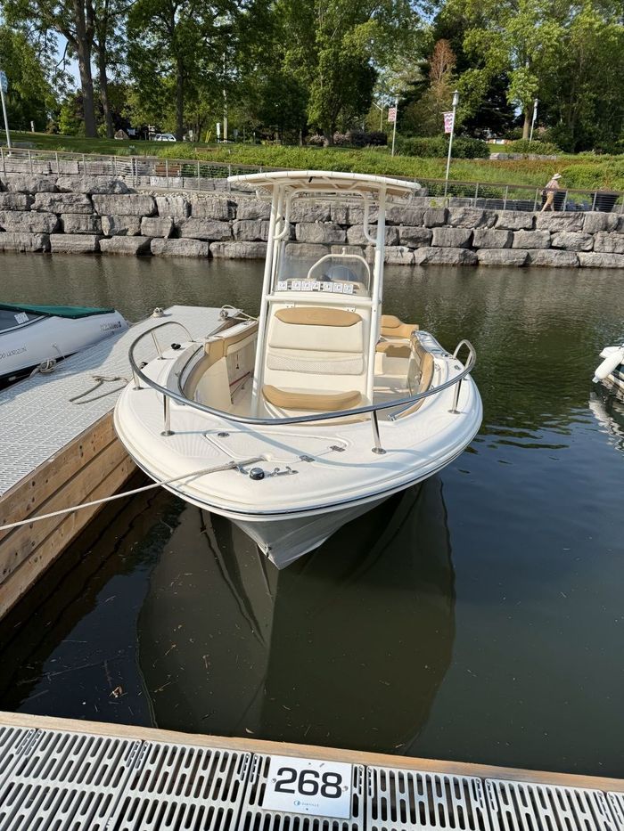 2016 Pioneer 197 Islander Photo 3 of 26