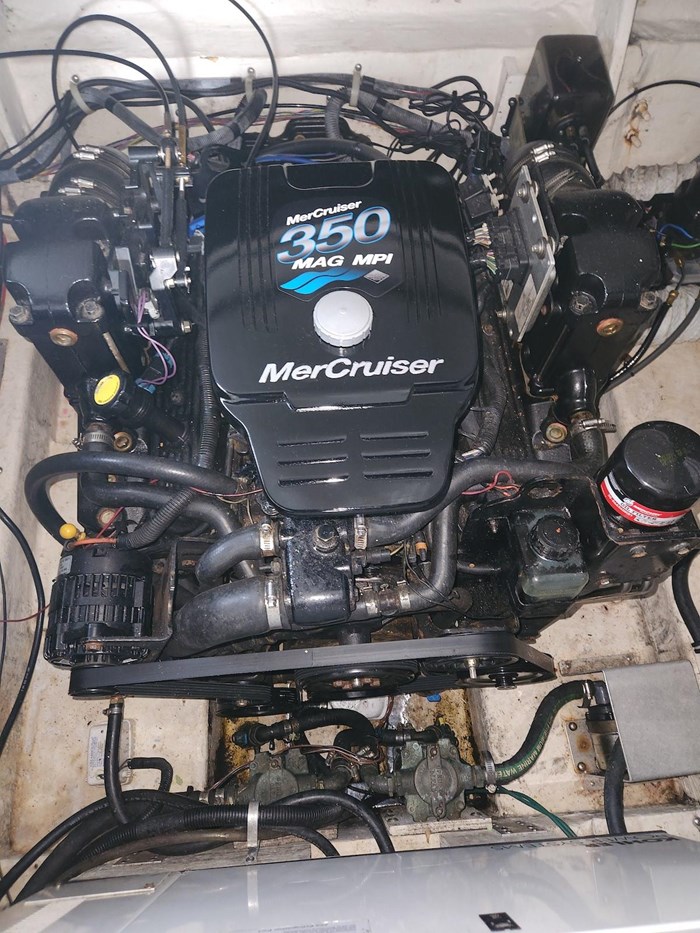 2006 Larson Cabrio 260 Photo 40 sur 45