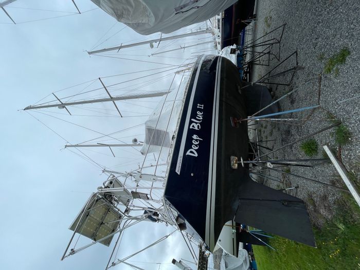 1990 Med Marine Monte Carlo 43 Photo 5 sur 57