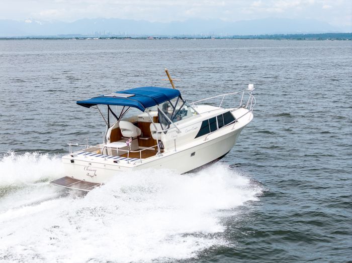 1969 Chris-Craft 27' Commander Photo 7 of 45