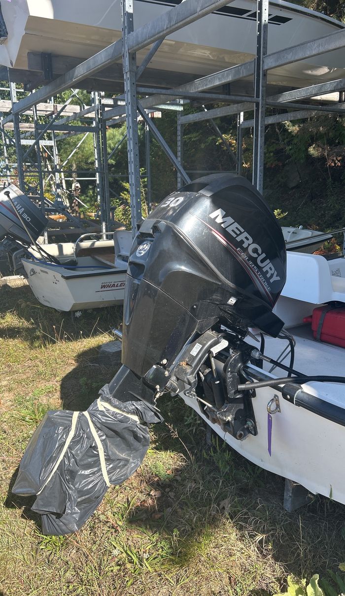 2005 Boston Whaler 150 super sport Photo 5 of 7