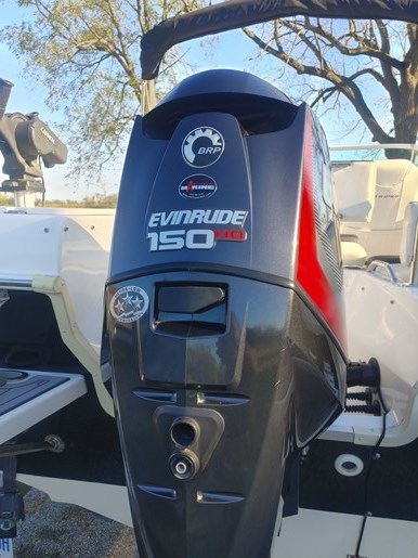 2018 Striper 200 Photo 5 of 12