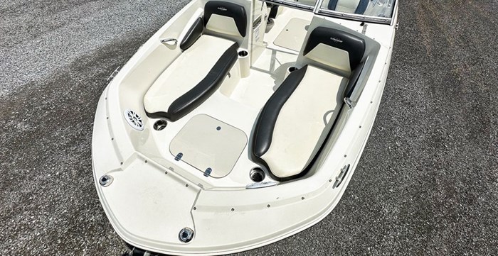 2019 STINGRAY 191 DC Photo 6 sur 18
