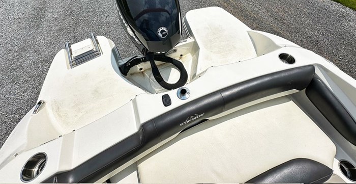 2019 STINGRAY 191 DC Photo 15 sur 18