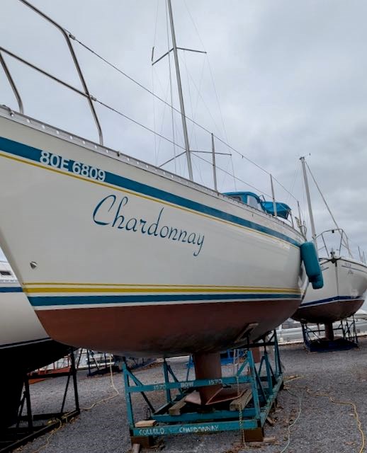1990 CS Yachts CS 34 Photo 4 of 23