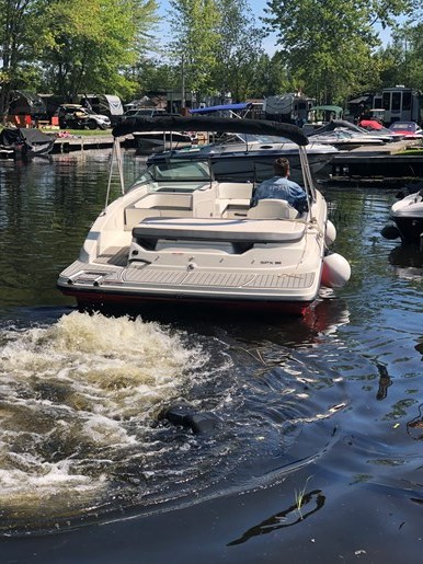 2018 Sea Ray SPX 190 Photo 32 of 32