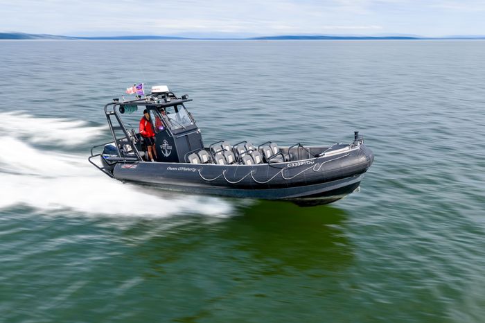 2022 Titan Boats D Series 8.2m Eco Tourism Photo 1 of 58