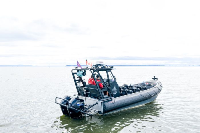 2022 Titan Boats D Series 8.2m Eco Tourism Photo 8 of 58