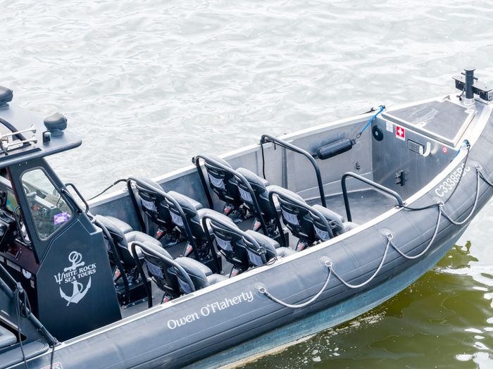 2022 Titan Boats D Series 8.2m Eco Tourism Photo 12 of 58