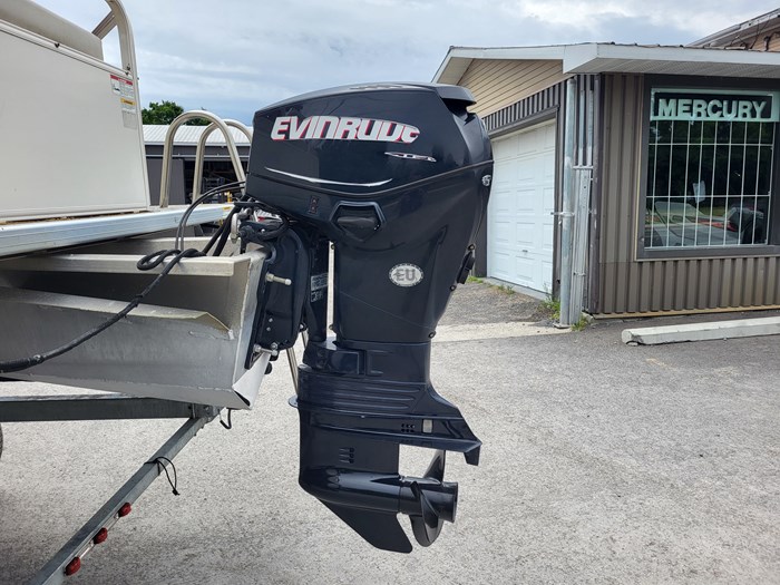 2011 Legend 21 GENESIS FUSION W/ 60HP EVINRUDE AND TRAILER Photo 13 of 14