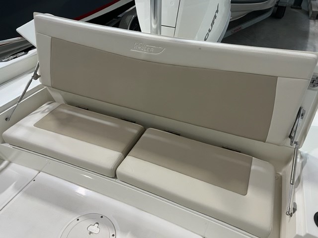 2019 Boston Whaler 240 Dauntless Photo 15 of 27
