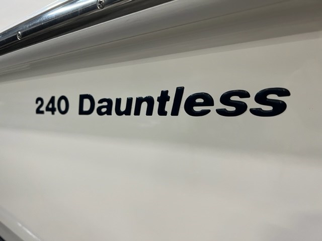 2019 Boston Whaler 240 Dauntless Photo 26 of 27