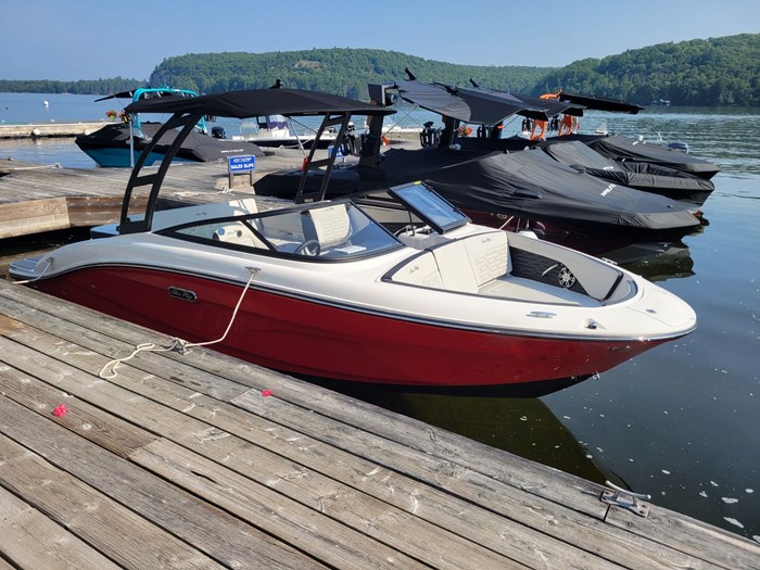 2024 Sea Ray SPX 210 Photo 1 of 8