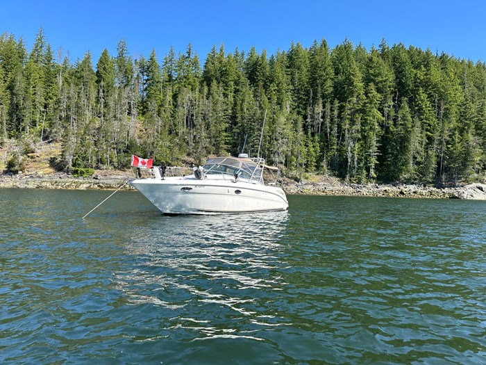 2002 Sea Ray 290 Amberjack Photo 3 of 30