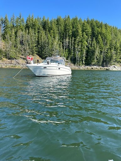 2002 Sea Ray 290 Amberjack Photo 4 of 30