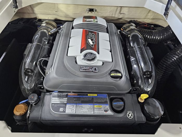 2025 Starcraft SVX 210 IO W/ 4.5L MERCRUISER 250 HP Photo 23 of 23