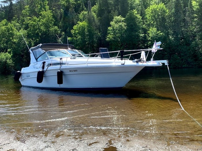 1990 Sea Ray Express 310 Photo 1 of 19