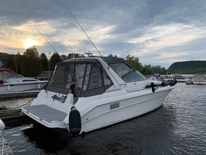 1990 Sea Ray Express 310 Photo 2 of 19