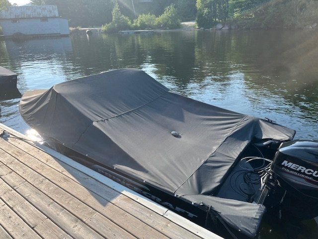 2018 Princecraft Amarok DL WS Photo 9 of 10