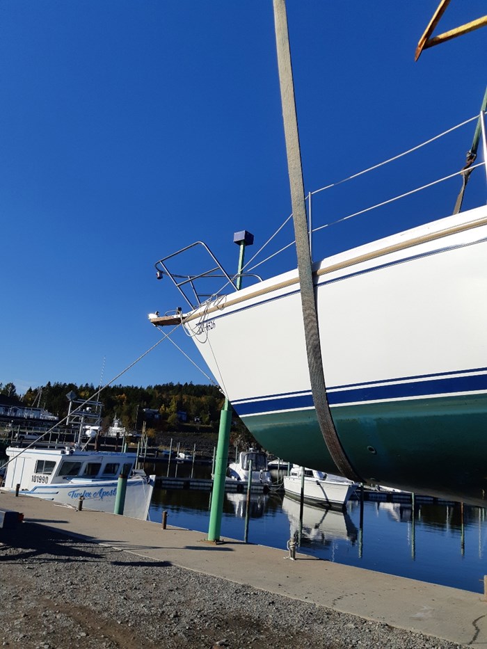 1985 Catalina 30 Tall Rig Photo 9 of 12