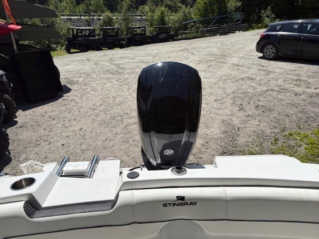 2025 Stingray 172SC Photo 16 of 17